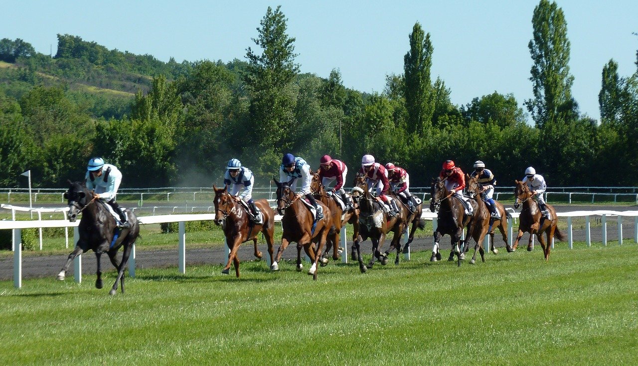 Horses For The Kentucky Derby