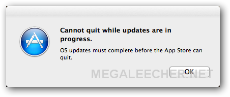 Error - Cannot quit while while updates are in progress. OS updates must complete before the App Store can quit.