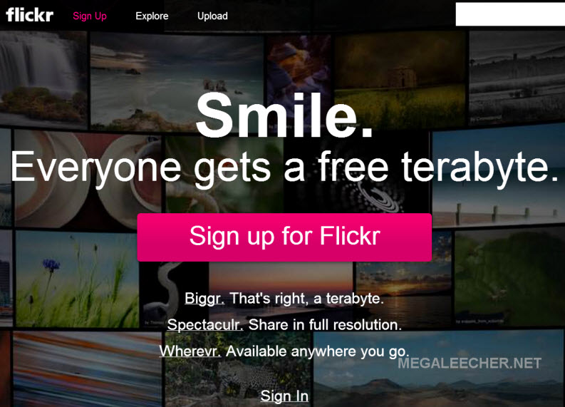 flickr 2013