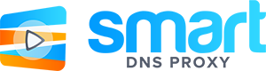 SmartDNS Logo