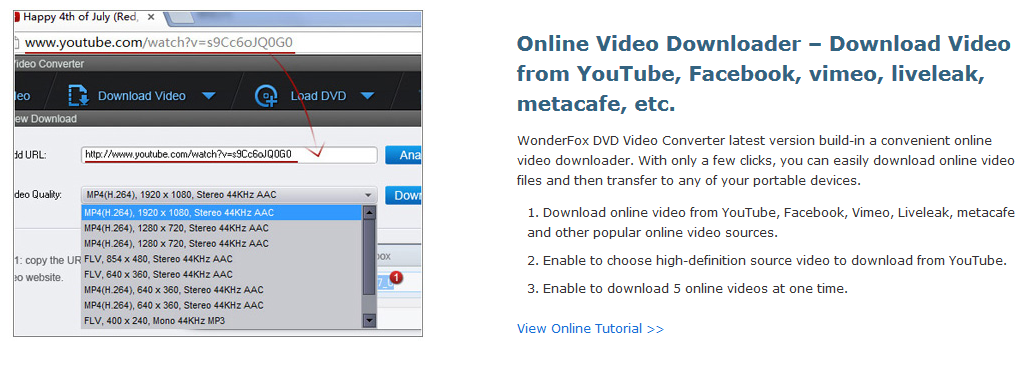 online video downloader