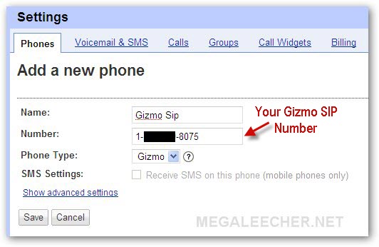 Google Voice Integration with Gizmo