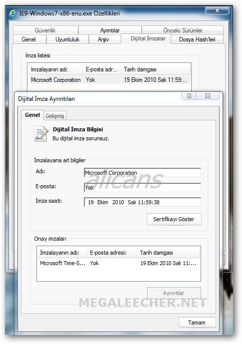 IE9 Post Beta Build Signature