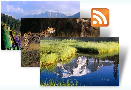 Dynamic Bing Windows 7 Theme
