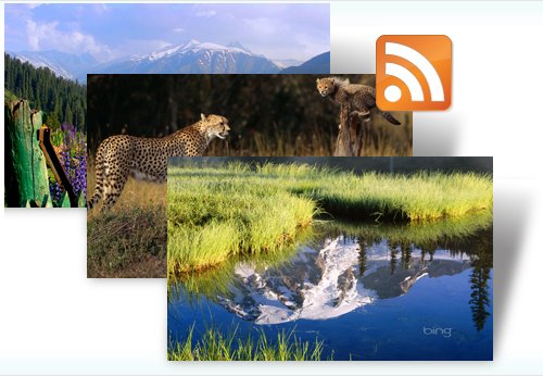 Dynamic Bing Windows 7 Theme