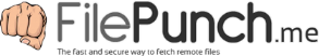filepunch.me logo