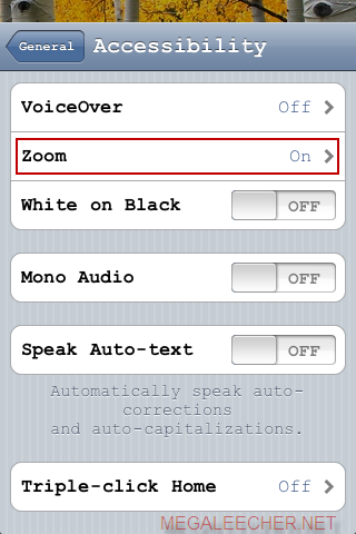 iPod Accessibility Settings