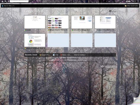 Google Chrome OS GUI