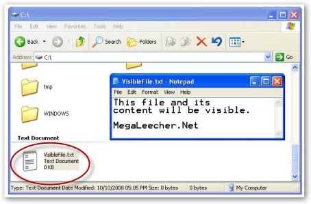 Invisible Text File