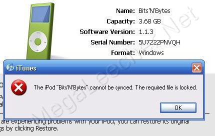 iPod Sync Error