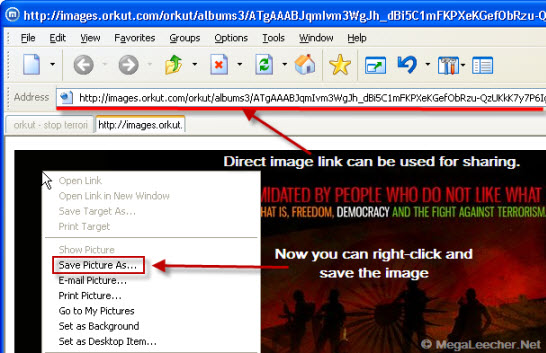 Hack To Save Orkut Images