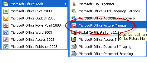 Paste To Microsoft Office Picture Manager