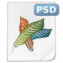 Photoshop Logo