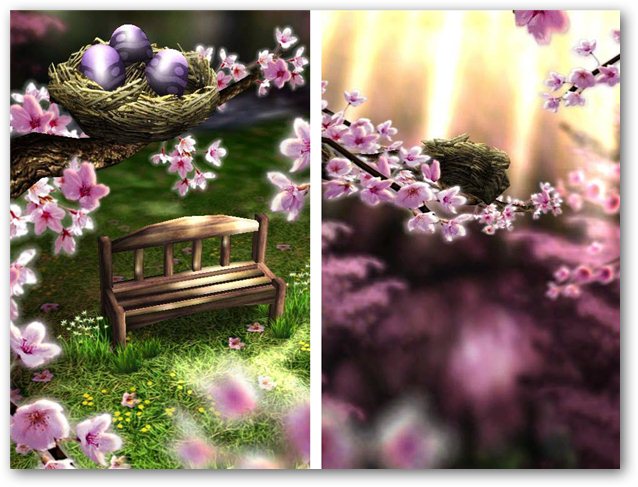 Spring Zen Live Wallpaper