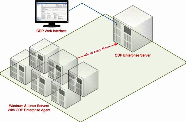 CDP Working