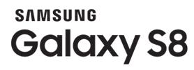 S8 Logo