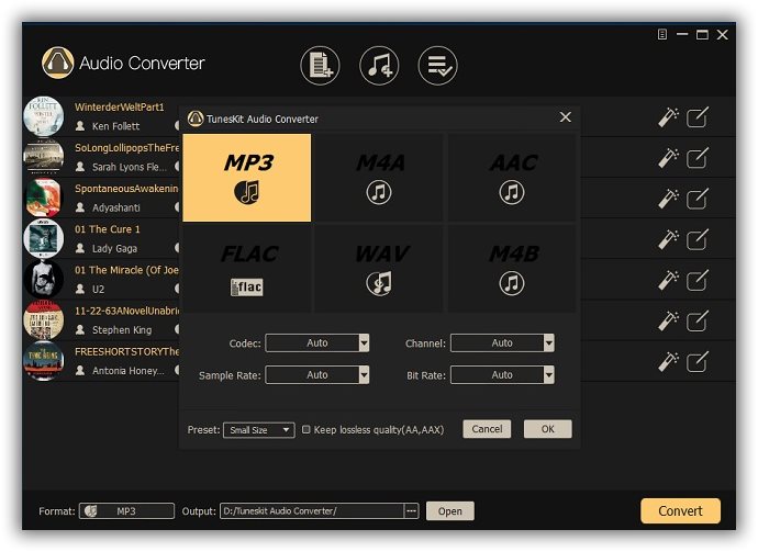 Tuneskit DRM Audio Converter for Windows