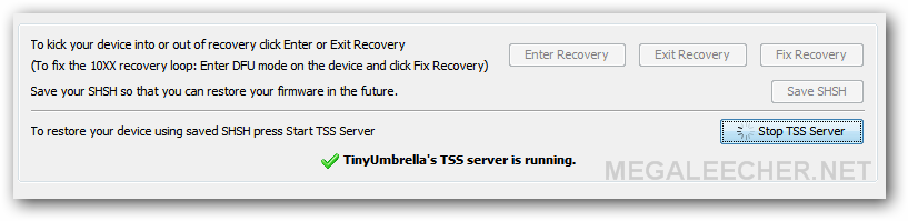 Running TinyUmbrella TSS Server