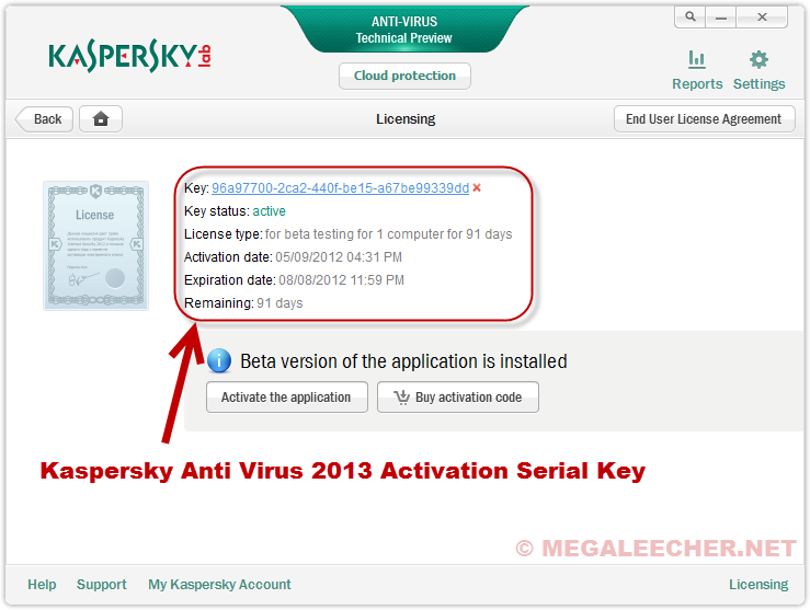 kaspersky antivirus 2013 activation key free download