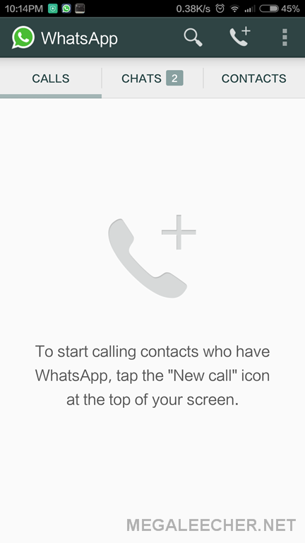 WhatsApp Call Feature