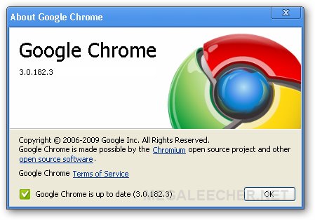 Google Chrome 3.0