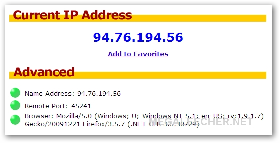 Instant IP Change After Using Net Guard 2010