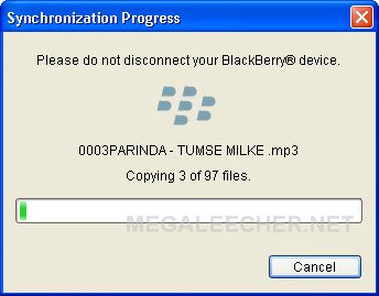 BlackBerry Music Syncing
