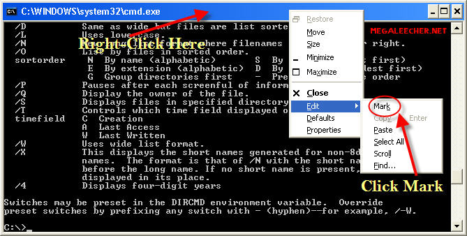 Copy Text From DOS Window