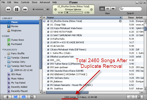 iTunes Library After Cleaning Duplicates