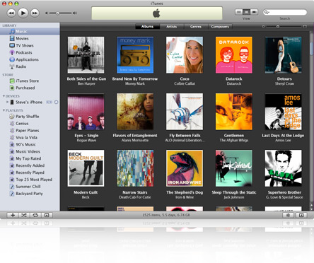 iTunes 8 New Grid View
