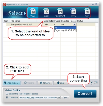 AnyBizSoft PDF Converter license