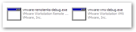VMware Debug Files