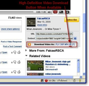 Firefox Video Downloader Interface